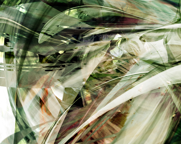 Image #1 of 12: 